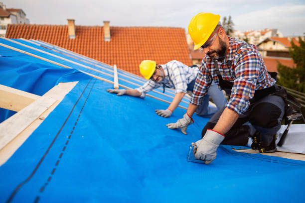 Best Chimney Flashing Repair  in Cleves, OH